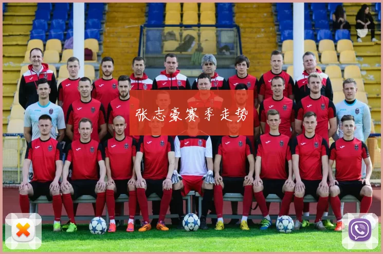 张志豪赛季走势