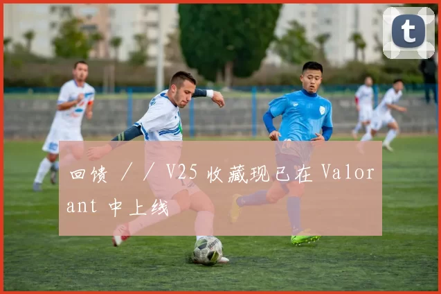 回馈 ／／ V25 收藏现已在 Valorant 中上线