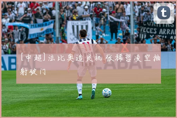 [中超]法比奥造良机 张稀哲凌空抽射破门