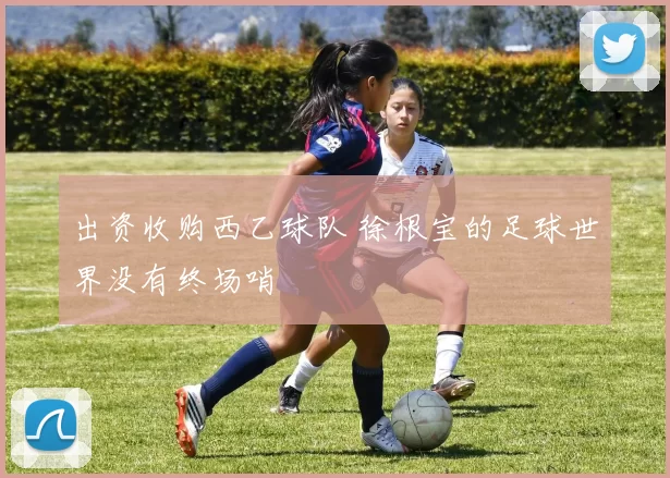 出资收购西乙球队 徐根宝的足球世界没有终场哨