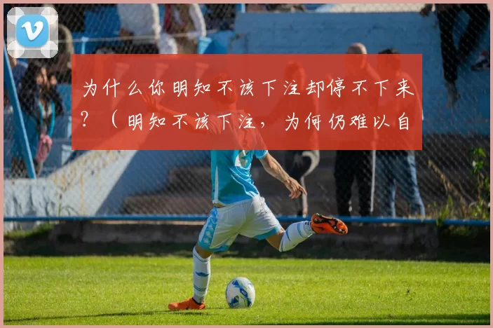 为什么你明知不该下注却停不下来？（明知不该下注，为何仍难以自控？）