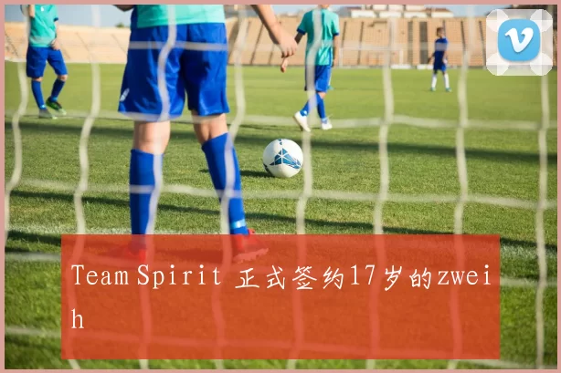 Team Spirit 正式签约17岁的zweih