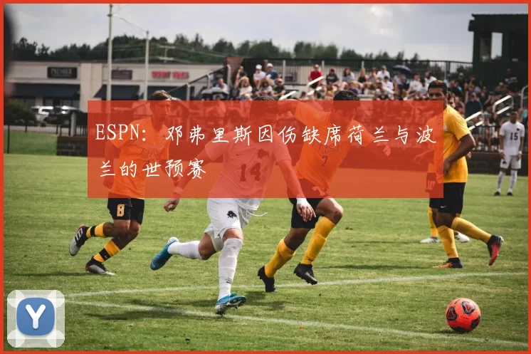 ESPN：邓弗里斯因伤缺席荷兰与波兰的世预赛